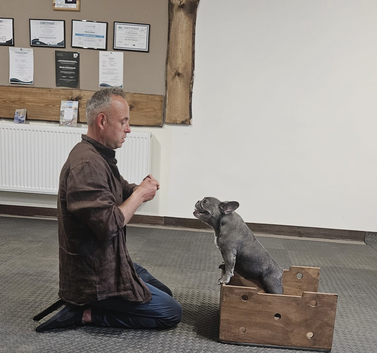 Nosework - trening węchowy