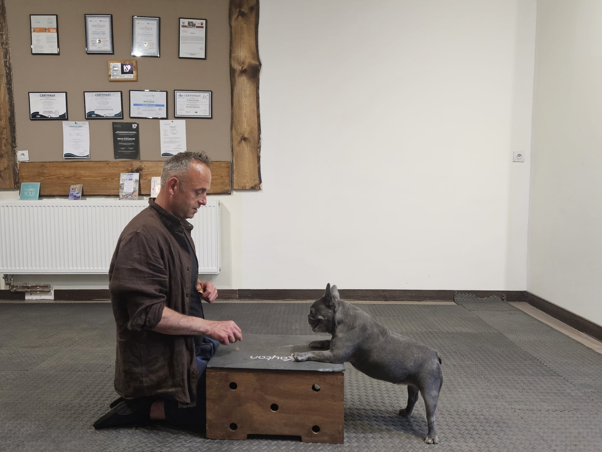 Nosework - trening węchowy